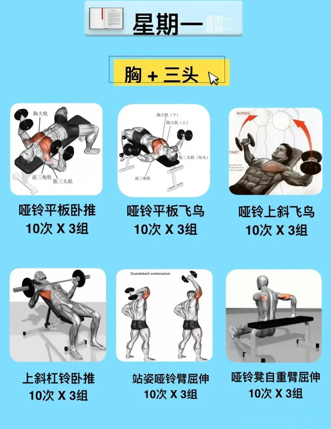 中国竞彩网-库兹亚耶夫体能训练计划(体能训练计划方案及训练安排)