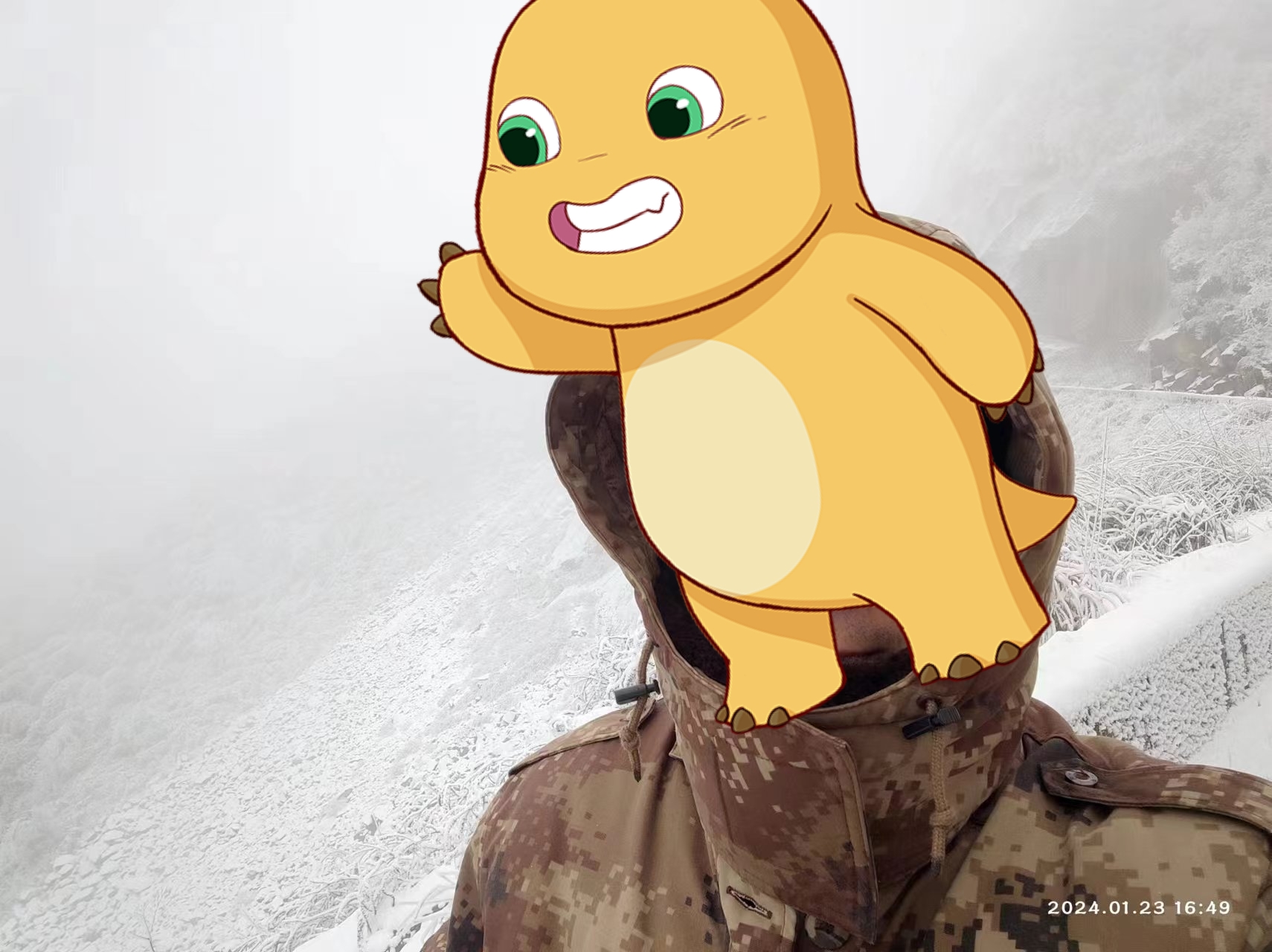 竞彩足球-斯(sī)特拉斯(sī)堡吉(jí)祥物(斯(sī)特拉斯(sī)堡广場(chǎng)雕像)